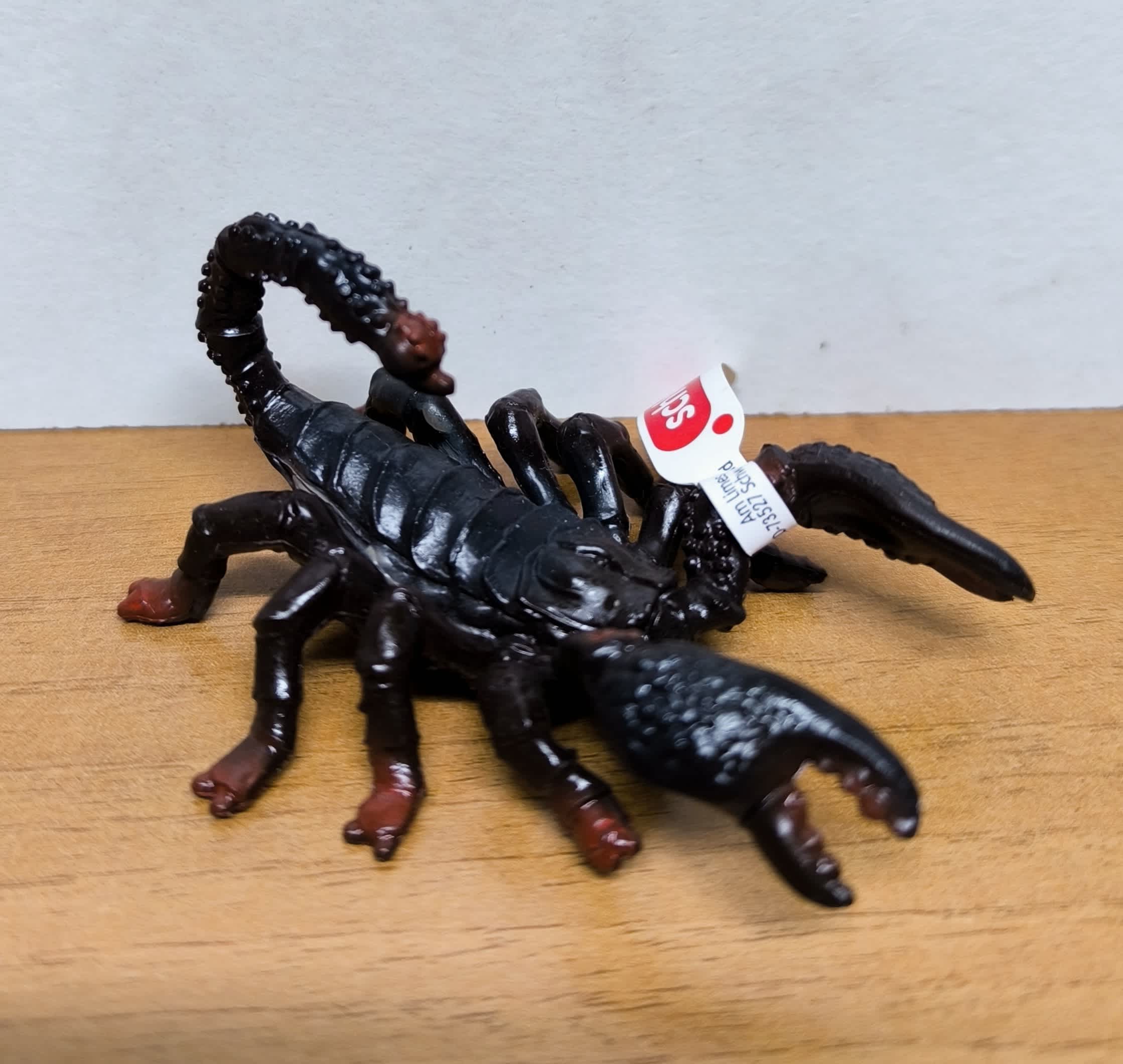 Escorpión