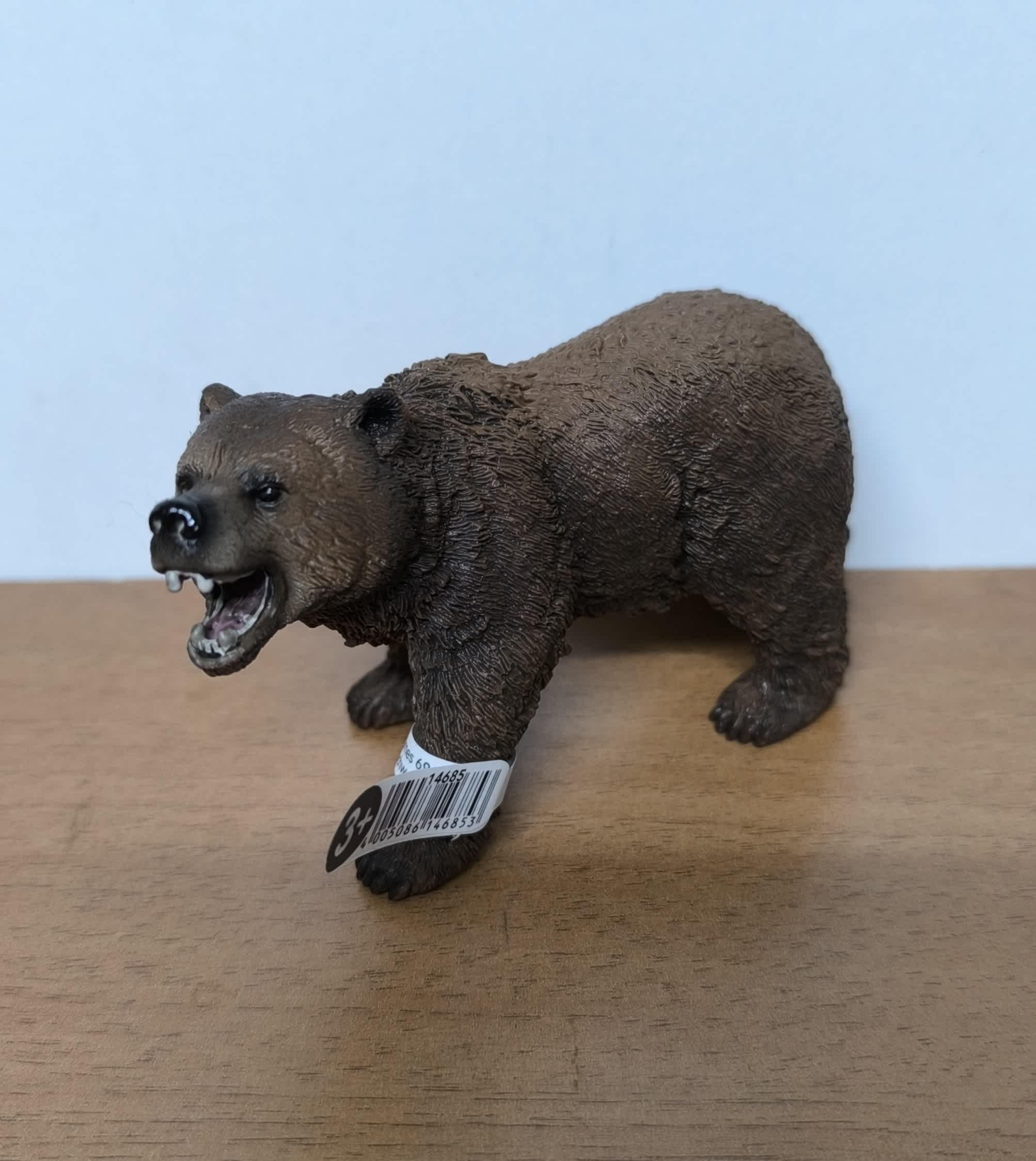 Oso grizzly