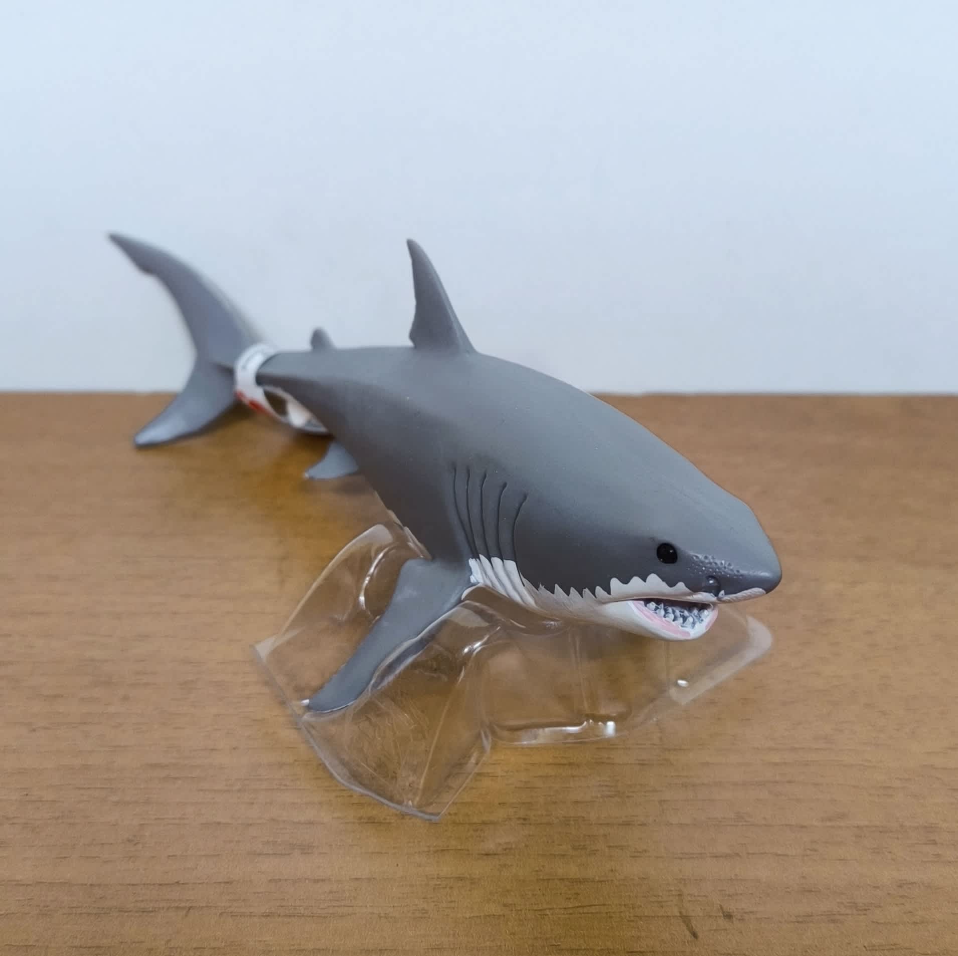 Tiburón blanco