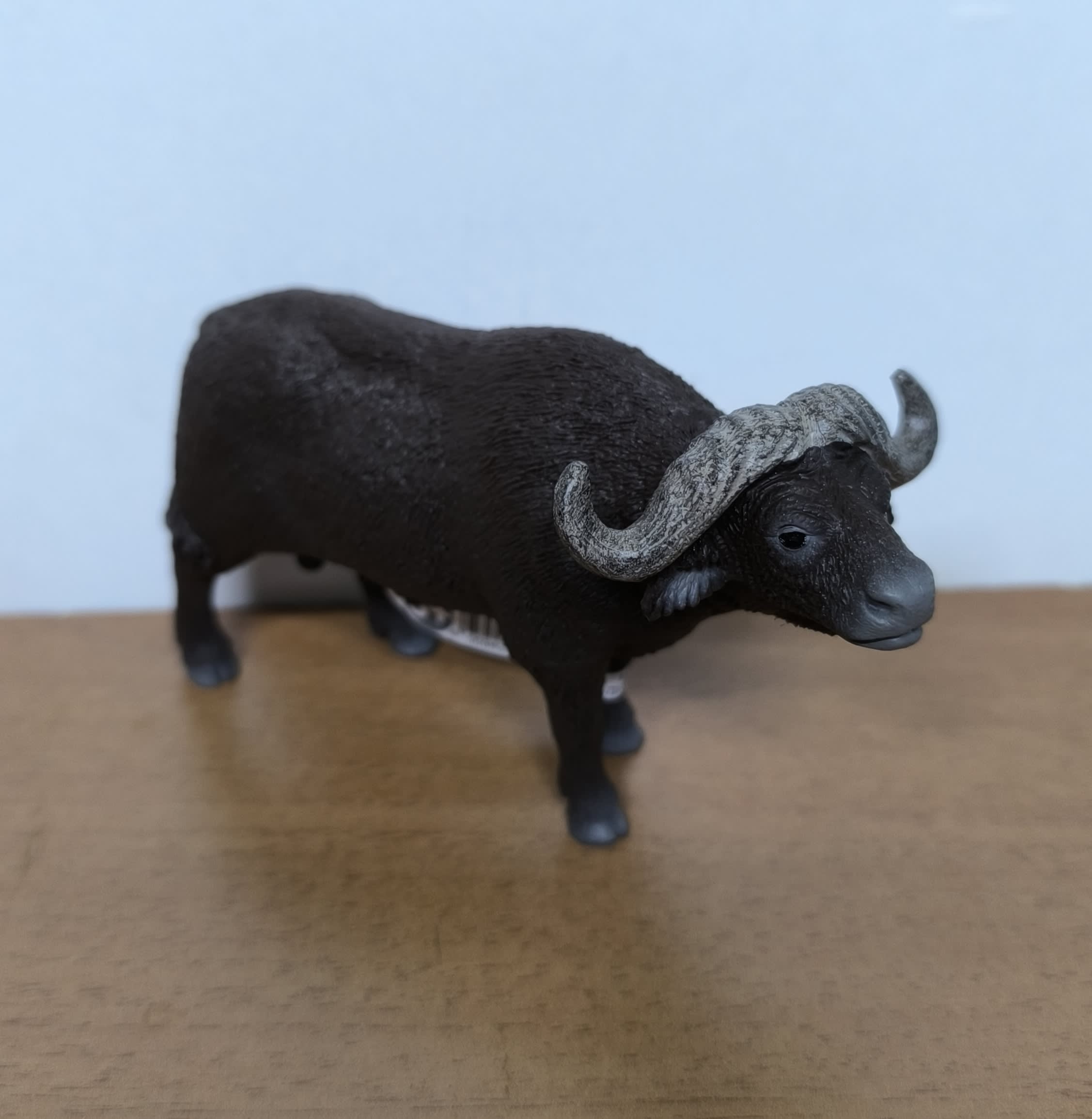 Búfalo africano