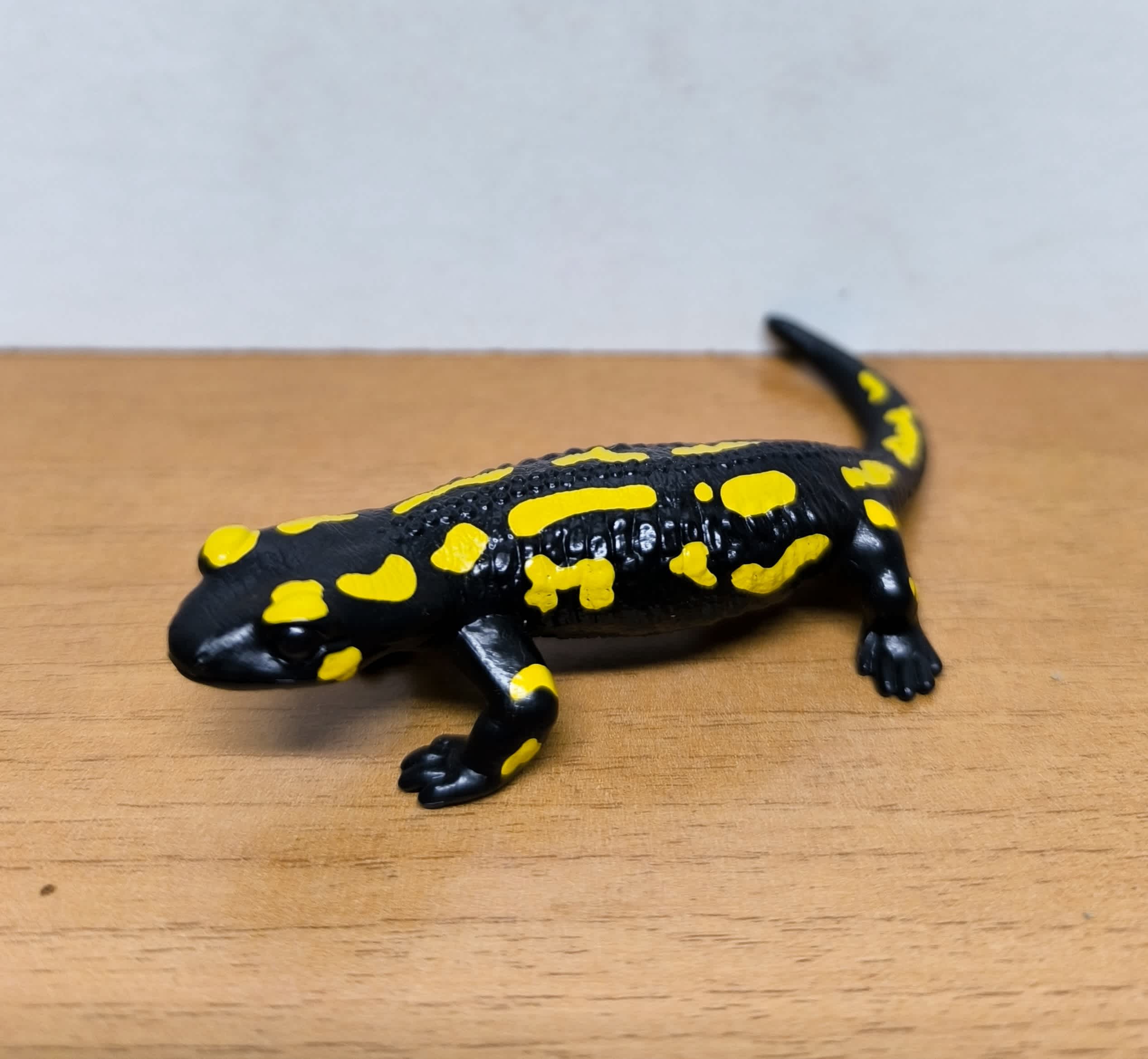 Salamandra