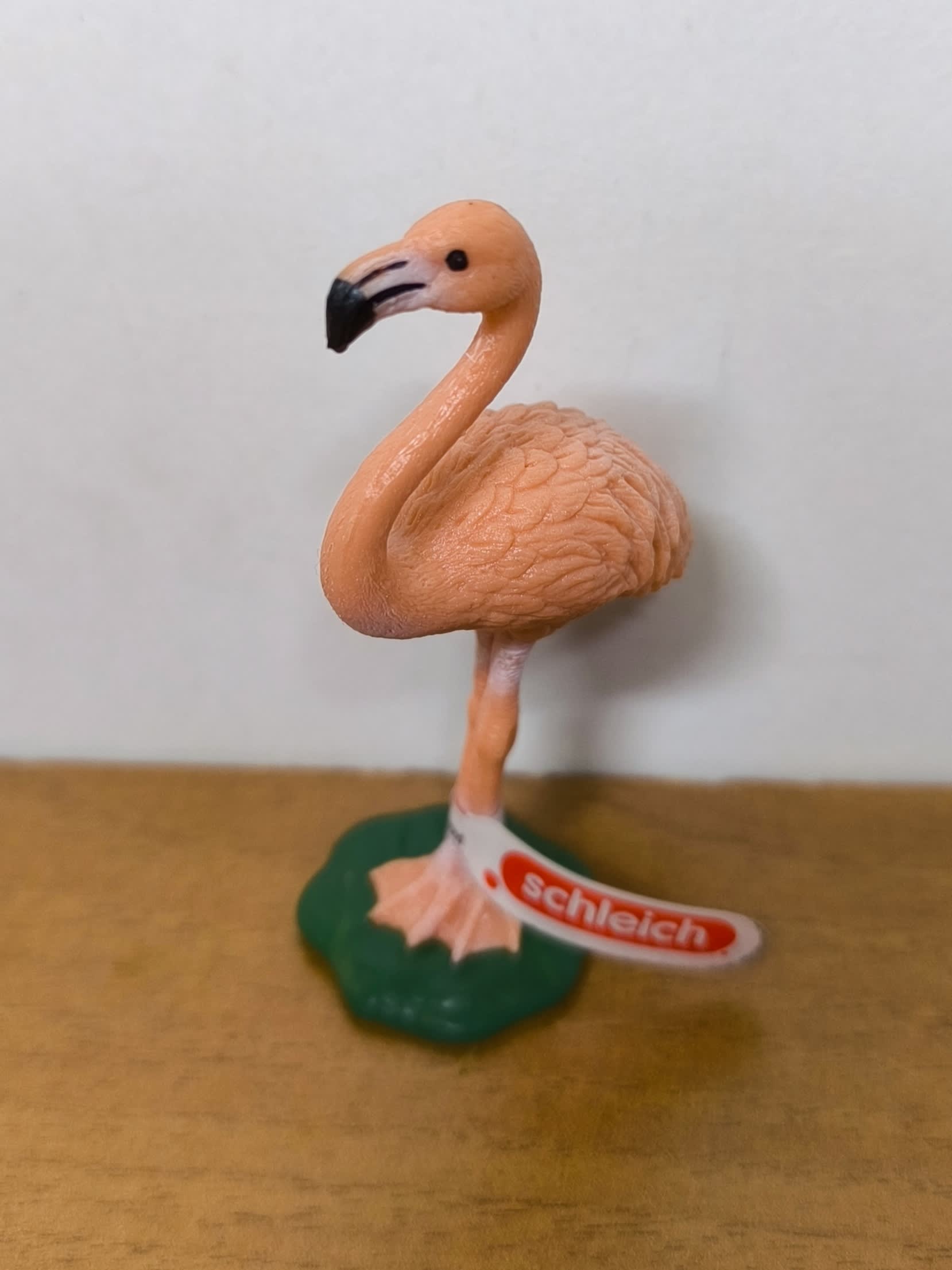 Flamenco