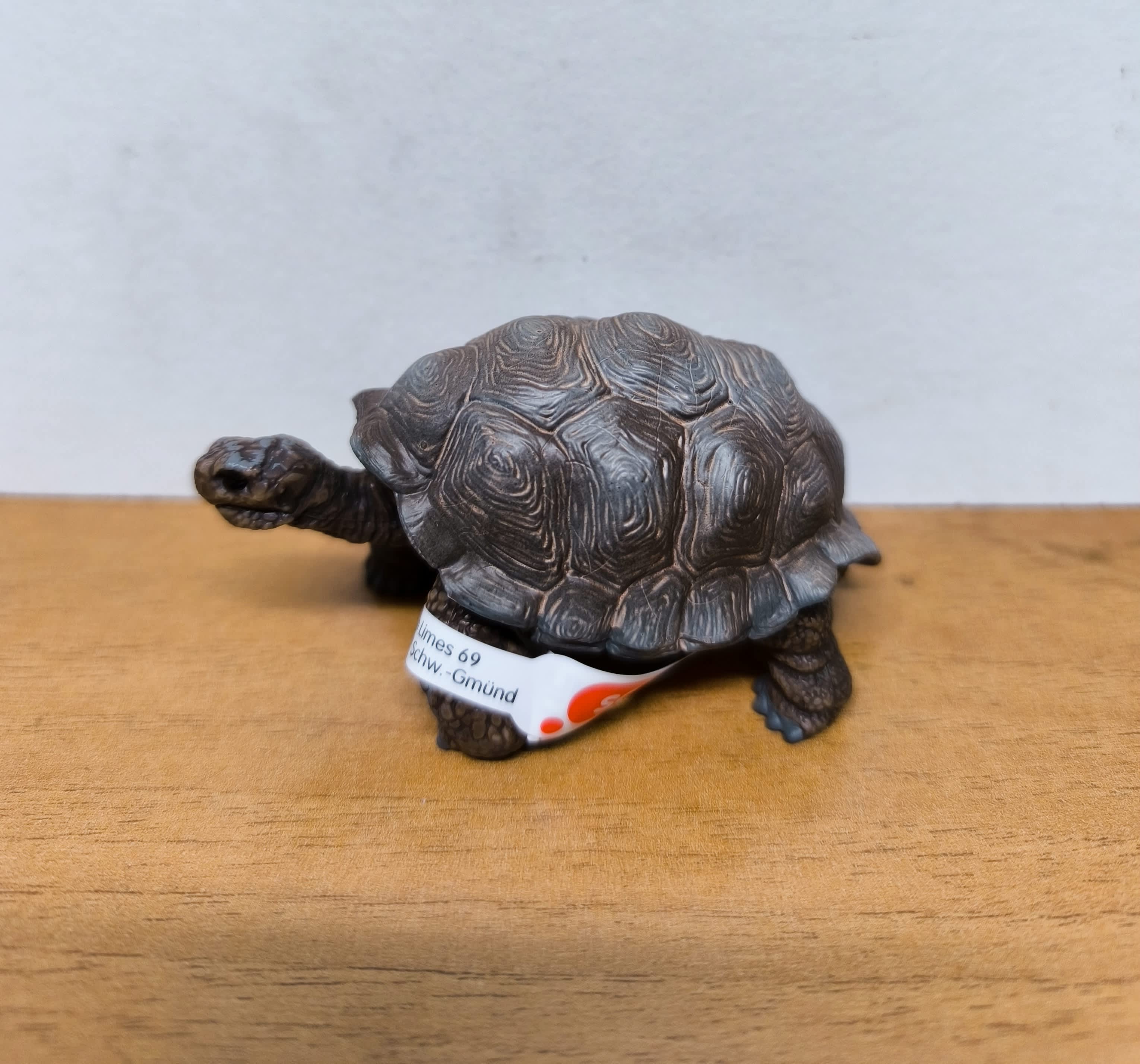 Tortuga gigante