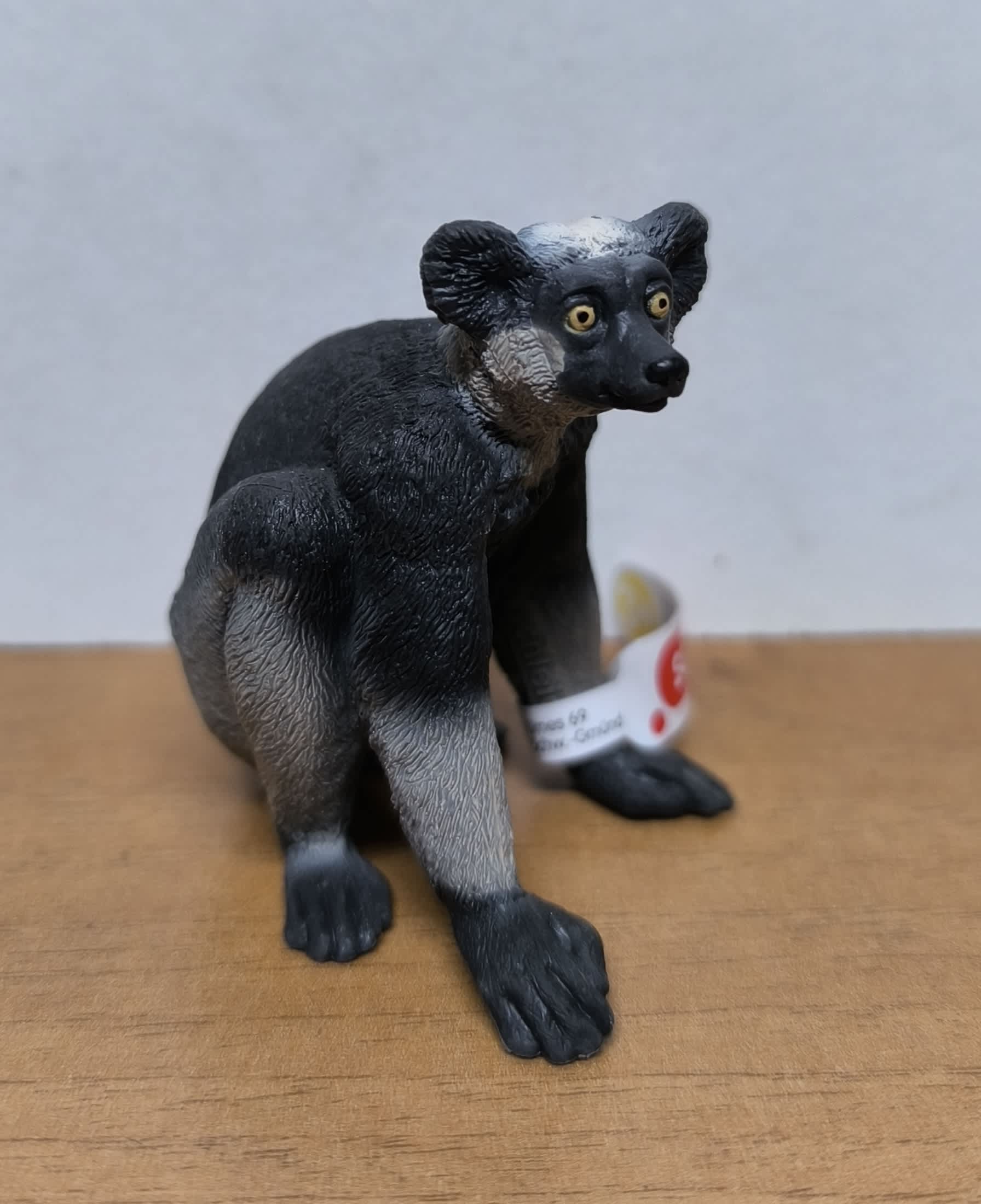 Indri