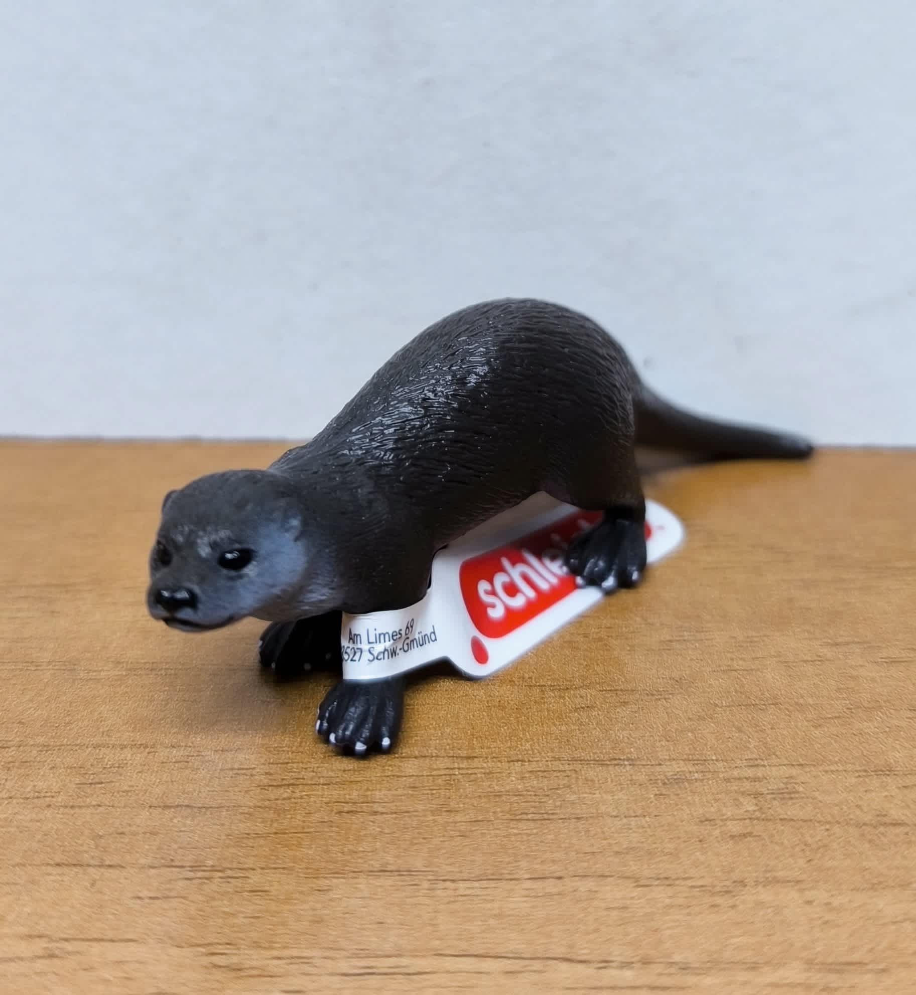 Nutria