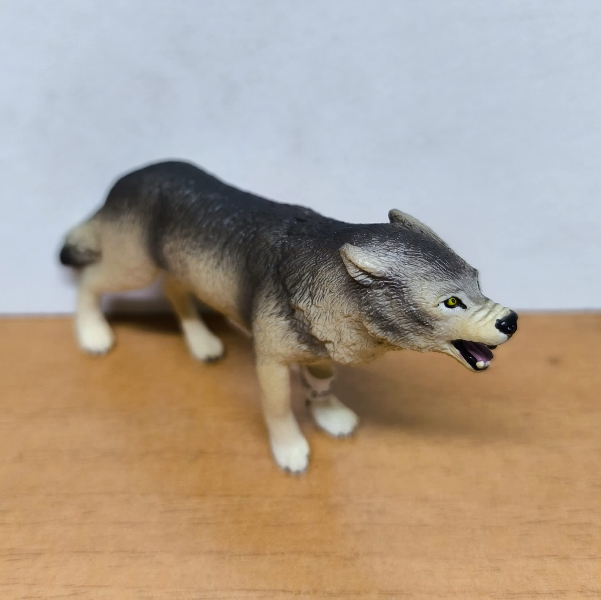 Lobo