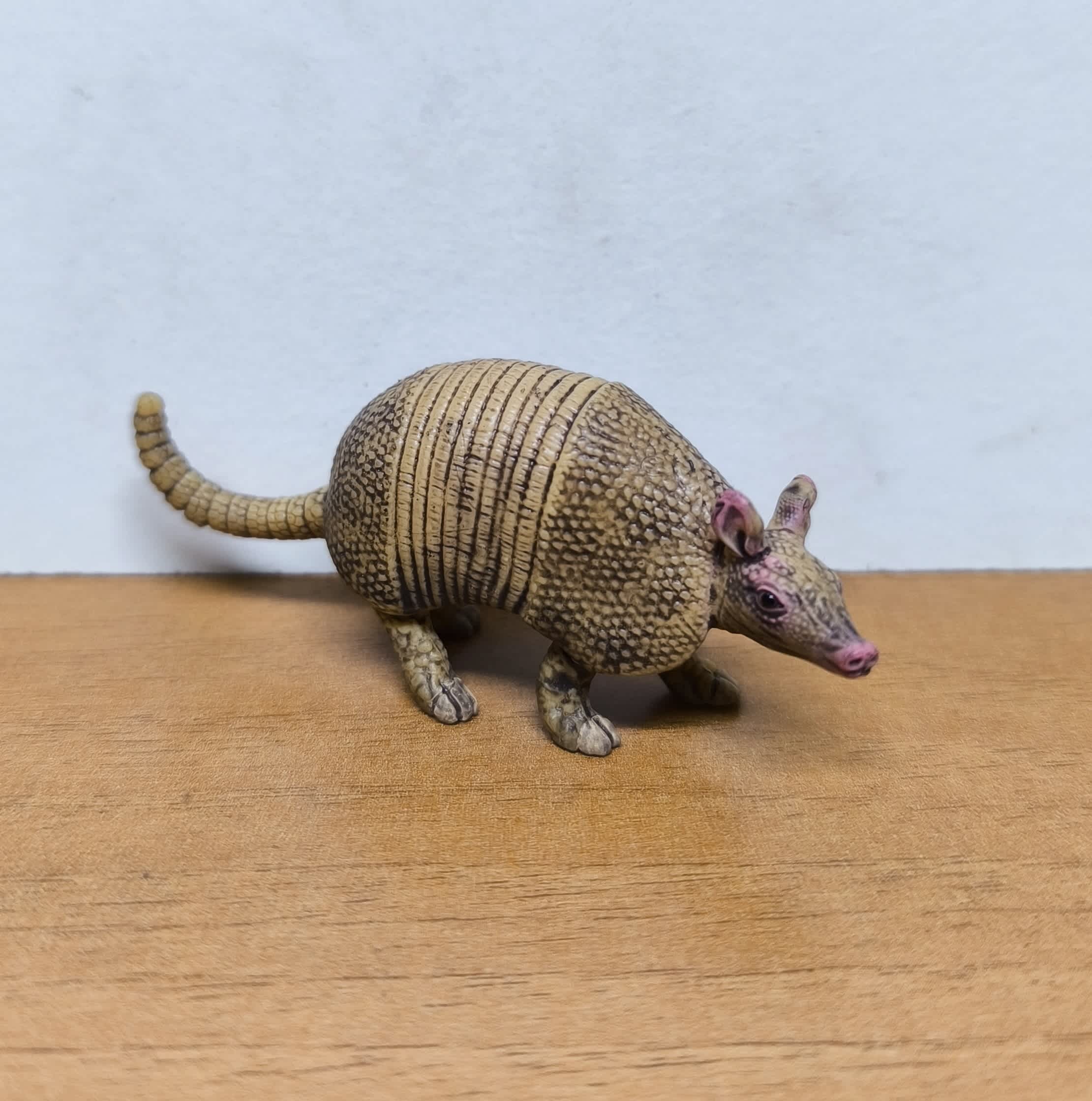 Armadillo