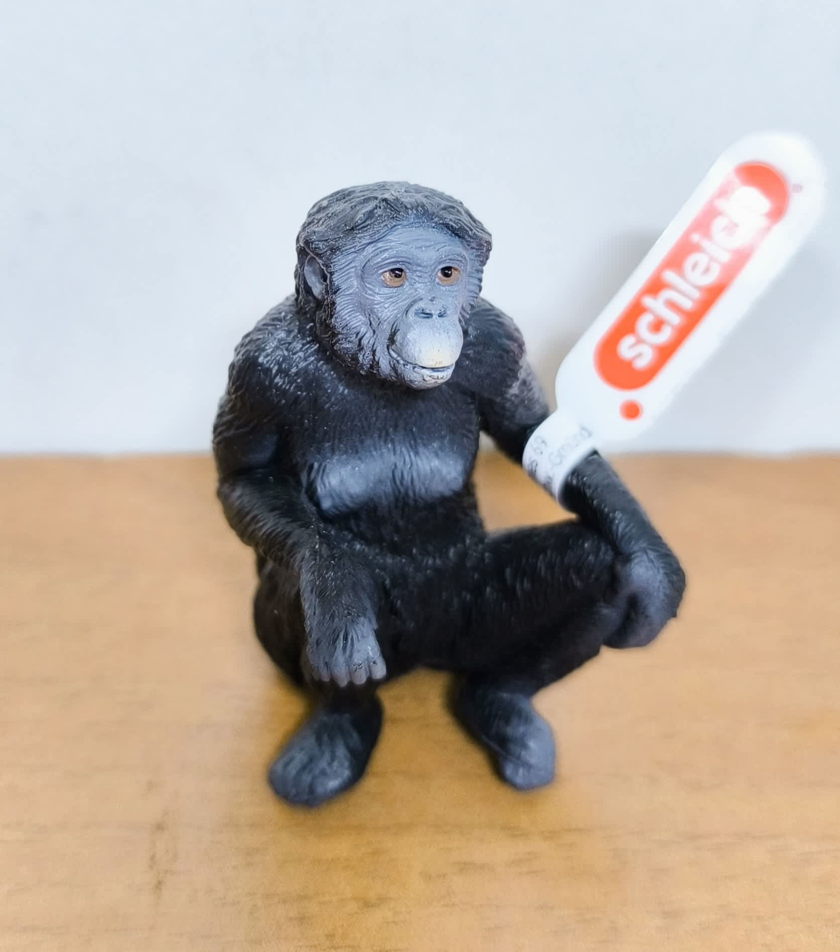Bonobo hembra