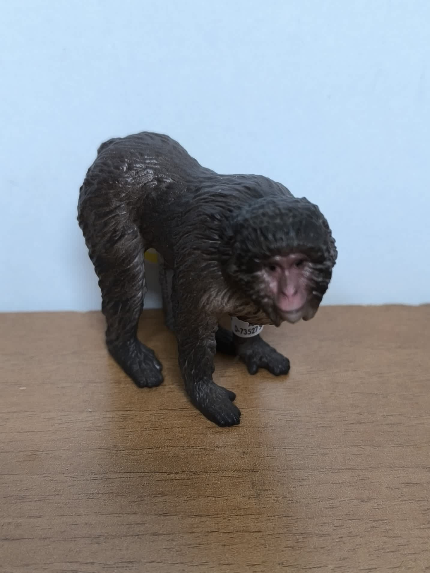 Macaco japonés
