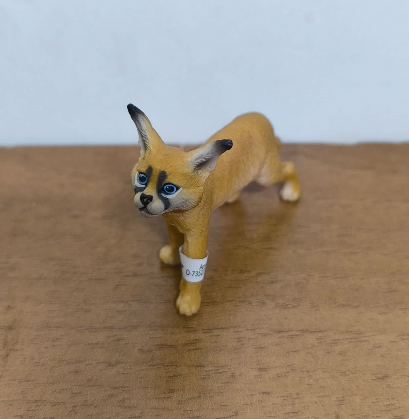 Cría de caracal