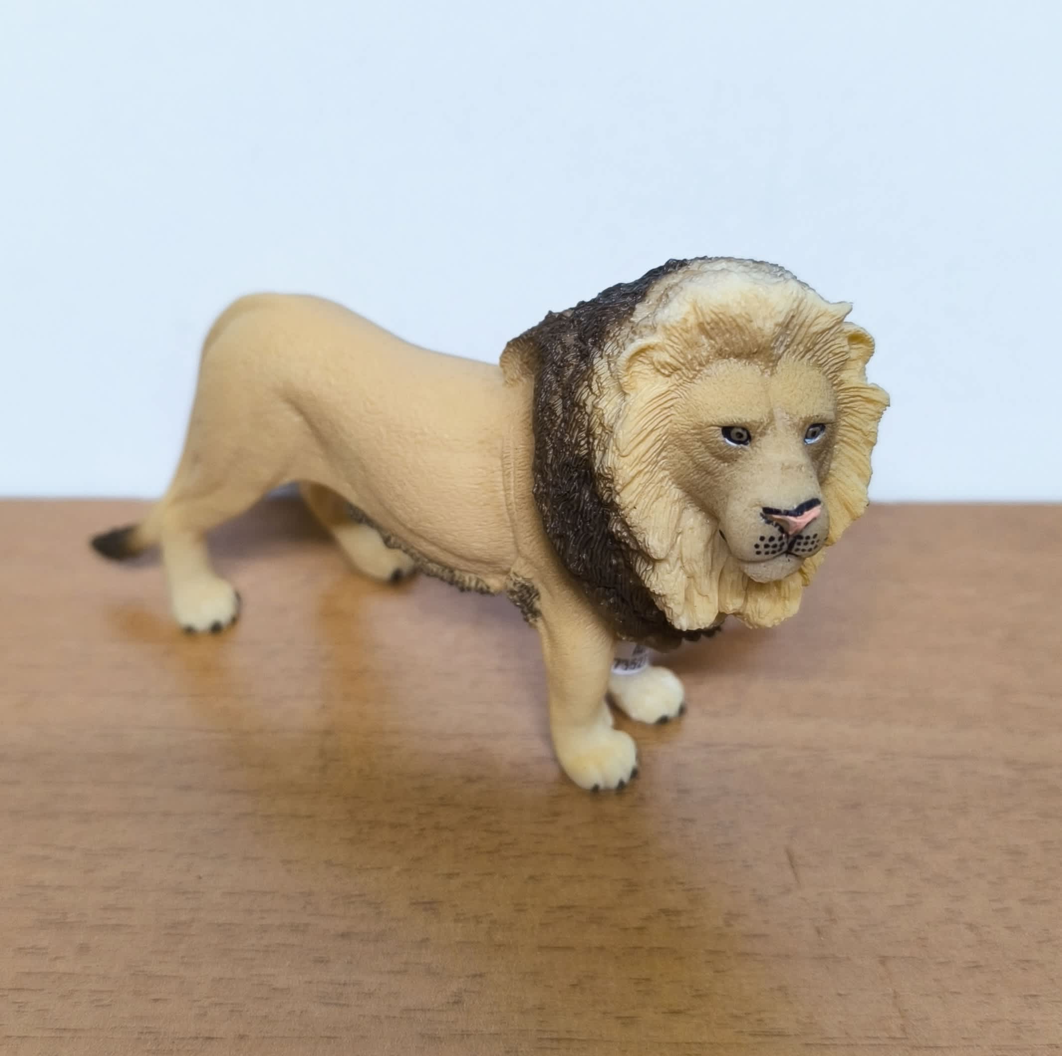 León