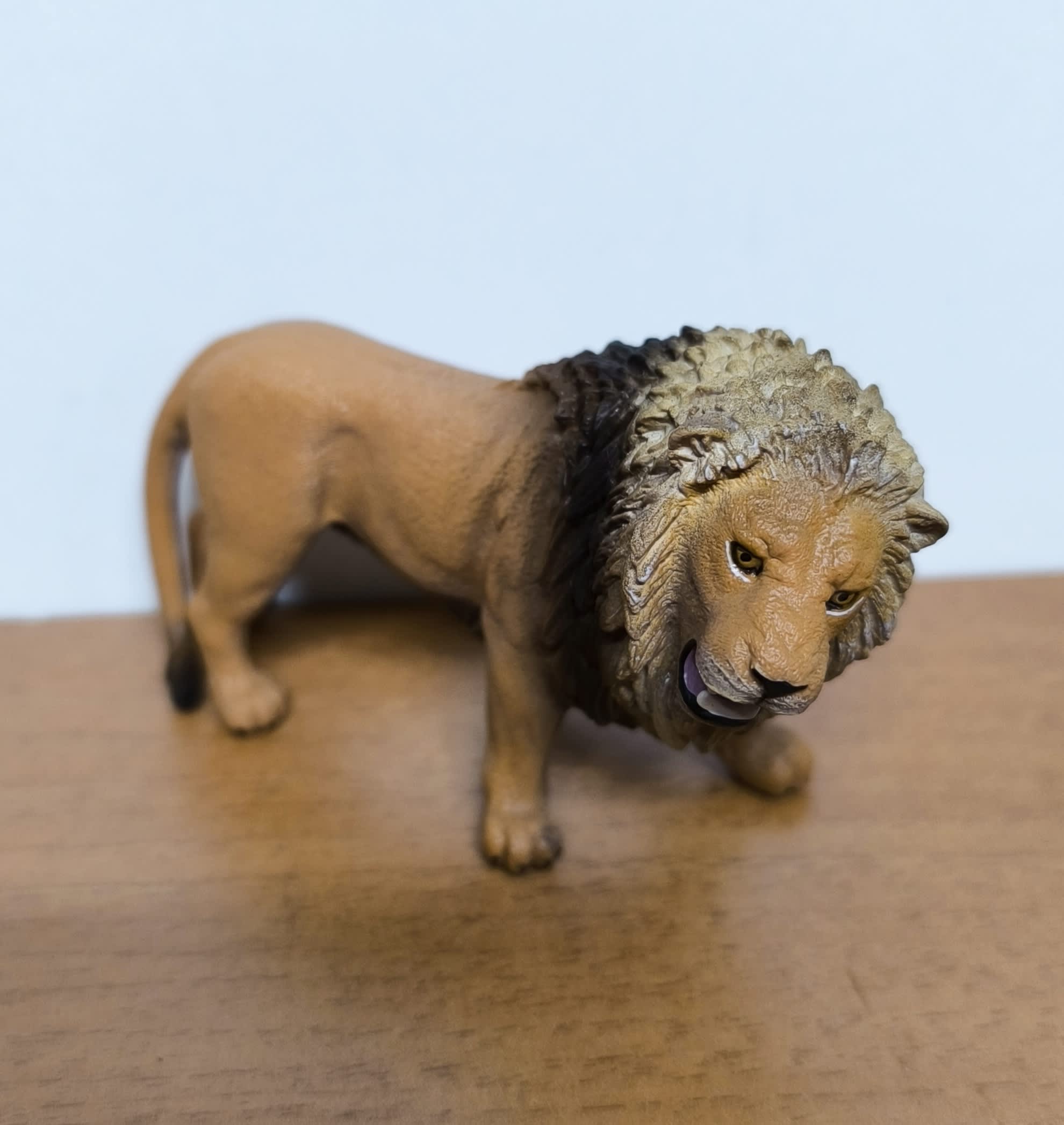 León