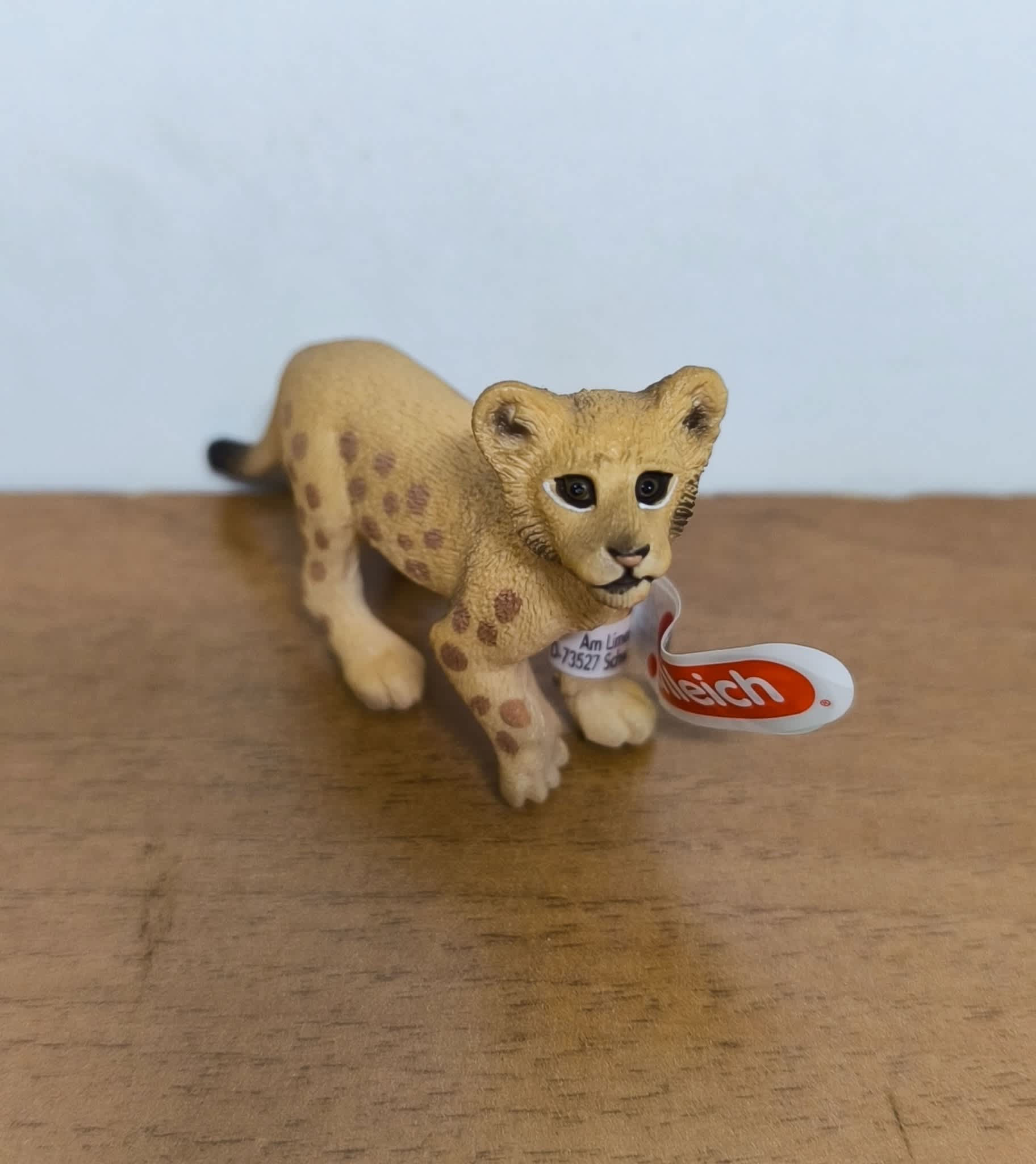 Cachorro de león