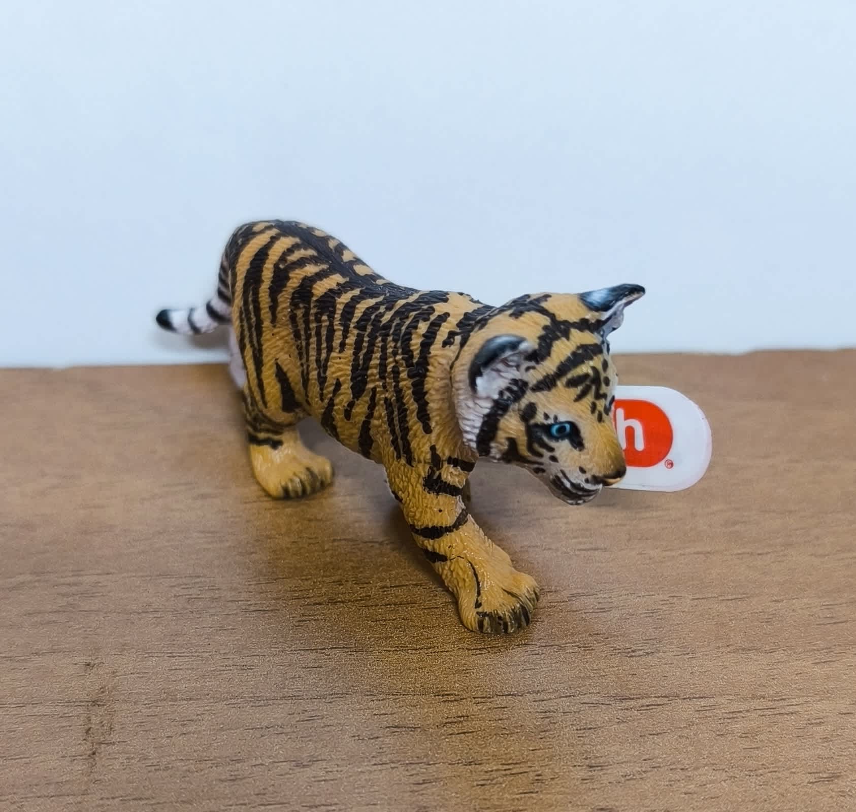 Cachorro de tigre