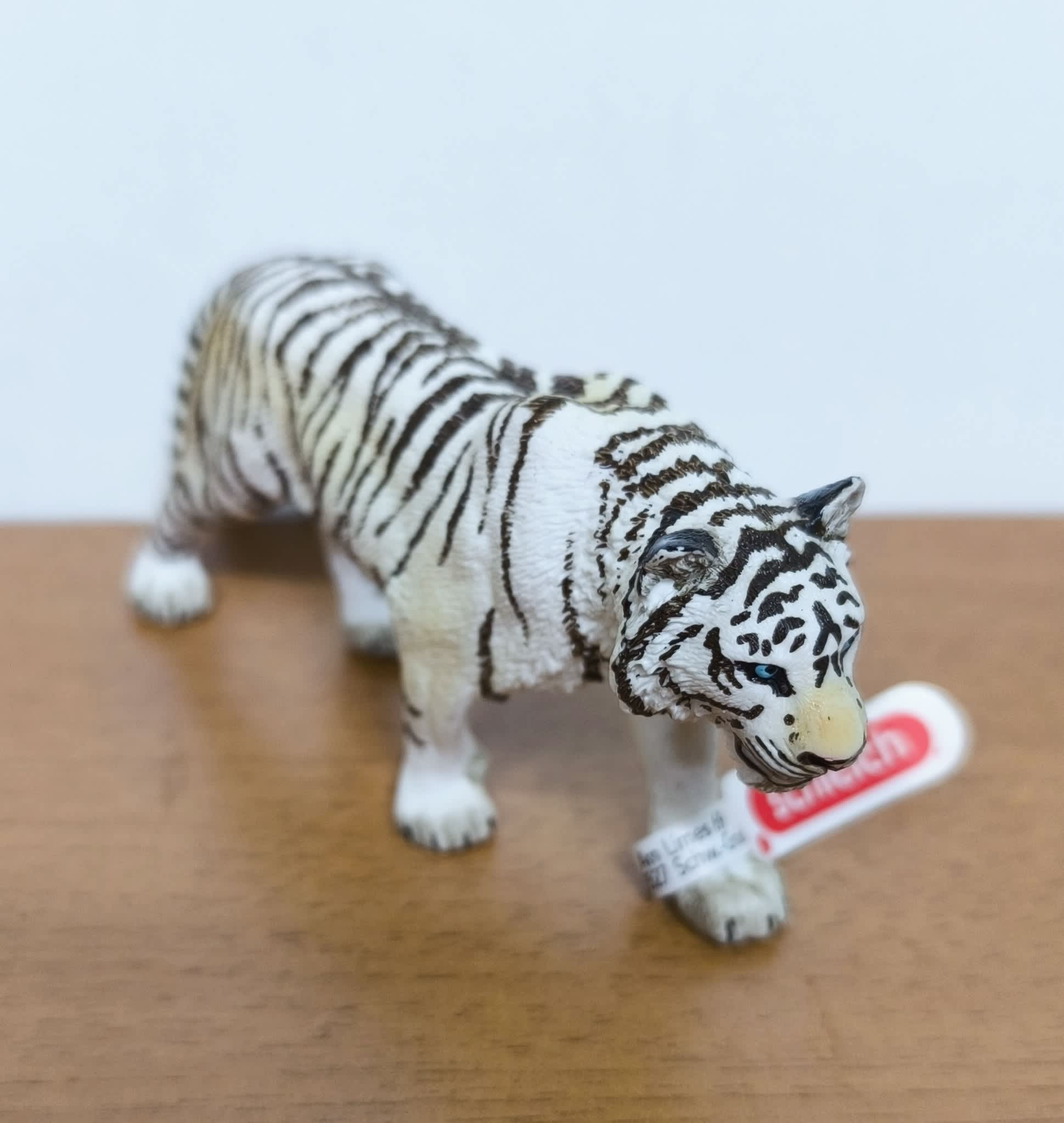 Tigre blanco