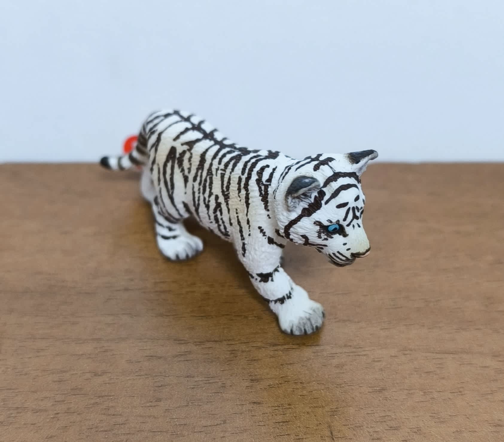 Cachorro de tigre blanco