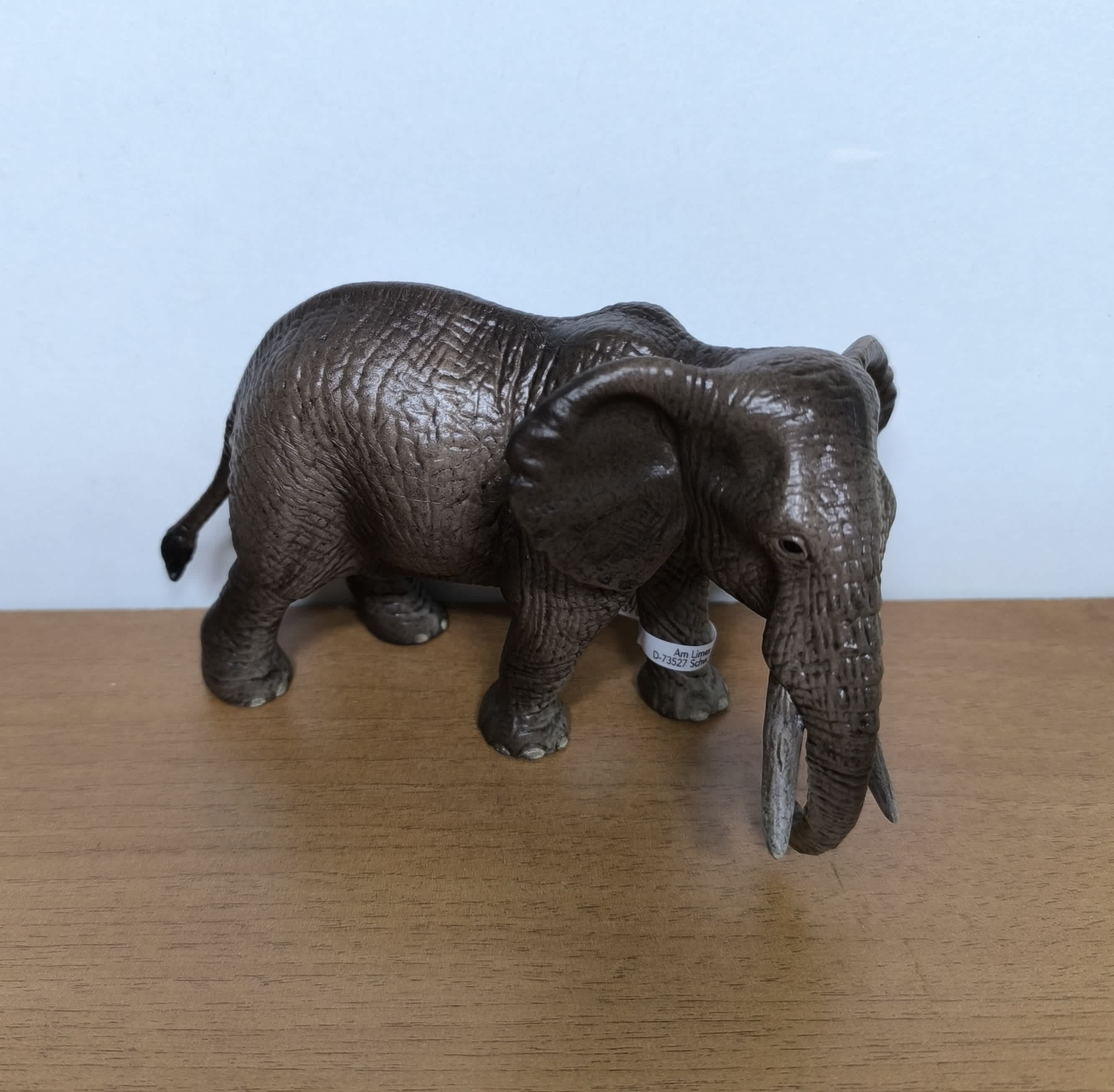 Elefante africano hembra