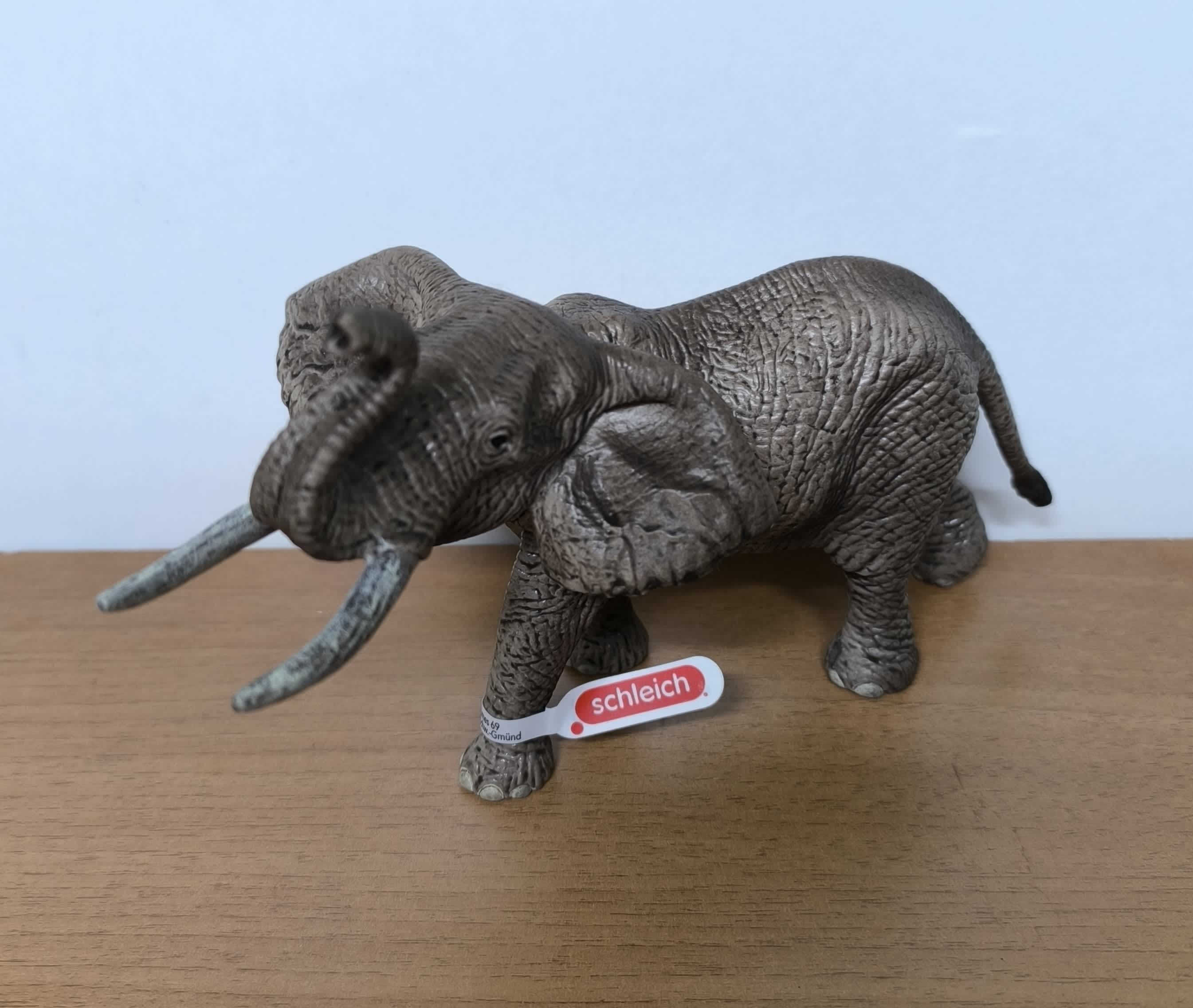 Elefante africano macho