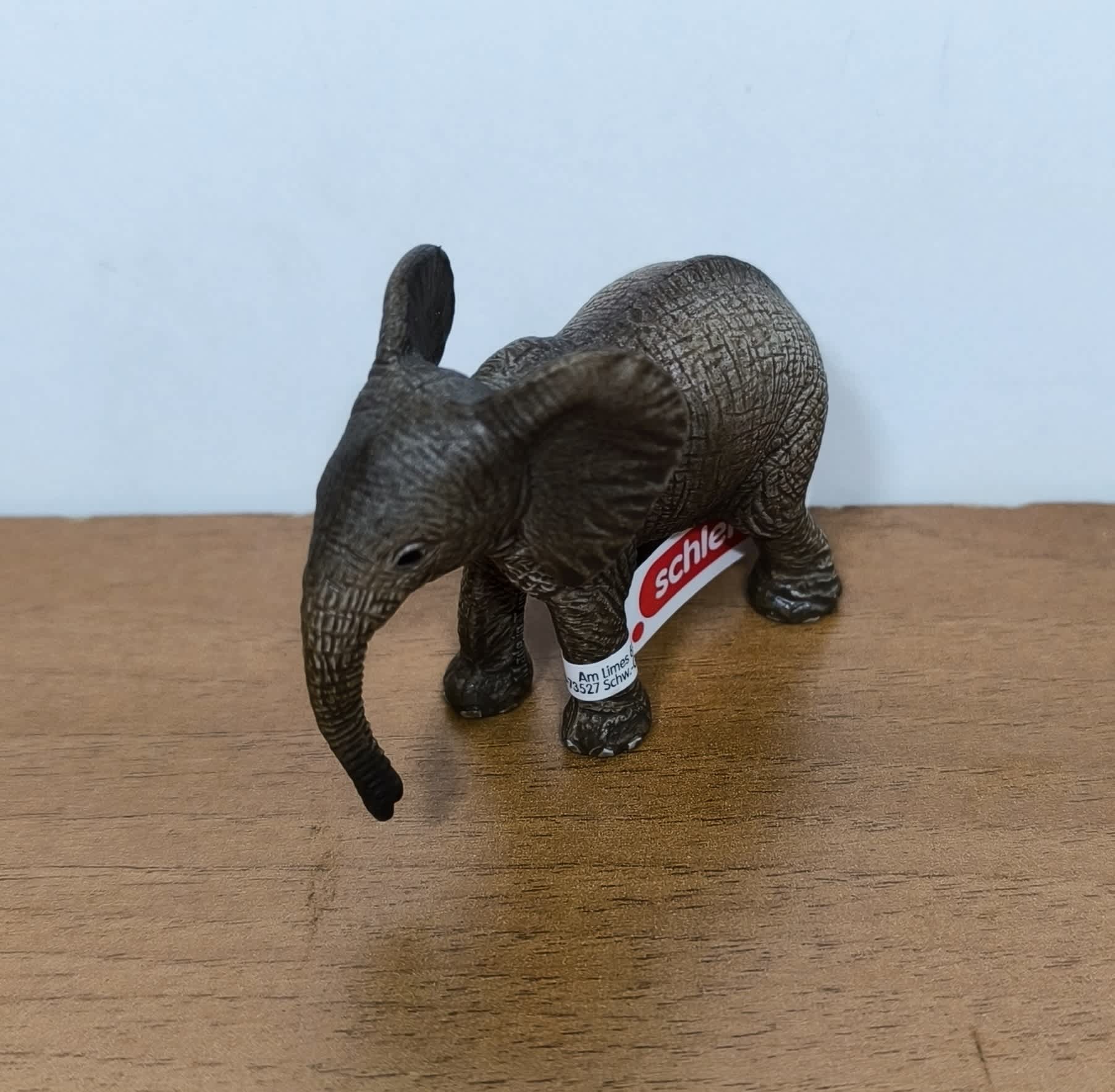 Cría de elefante africano