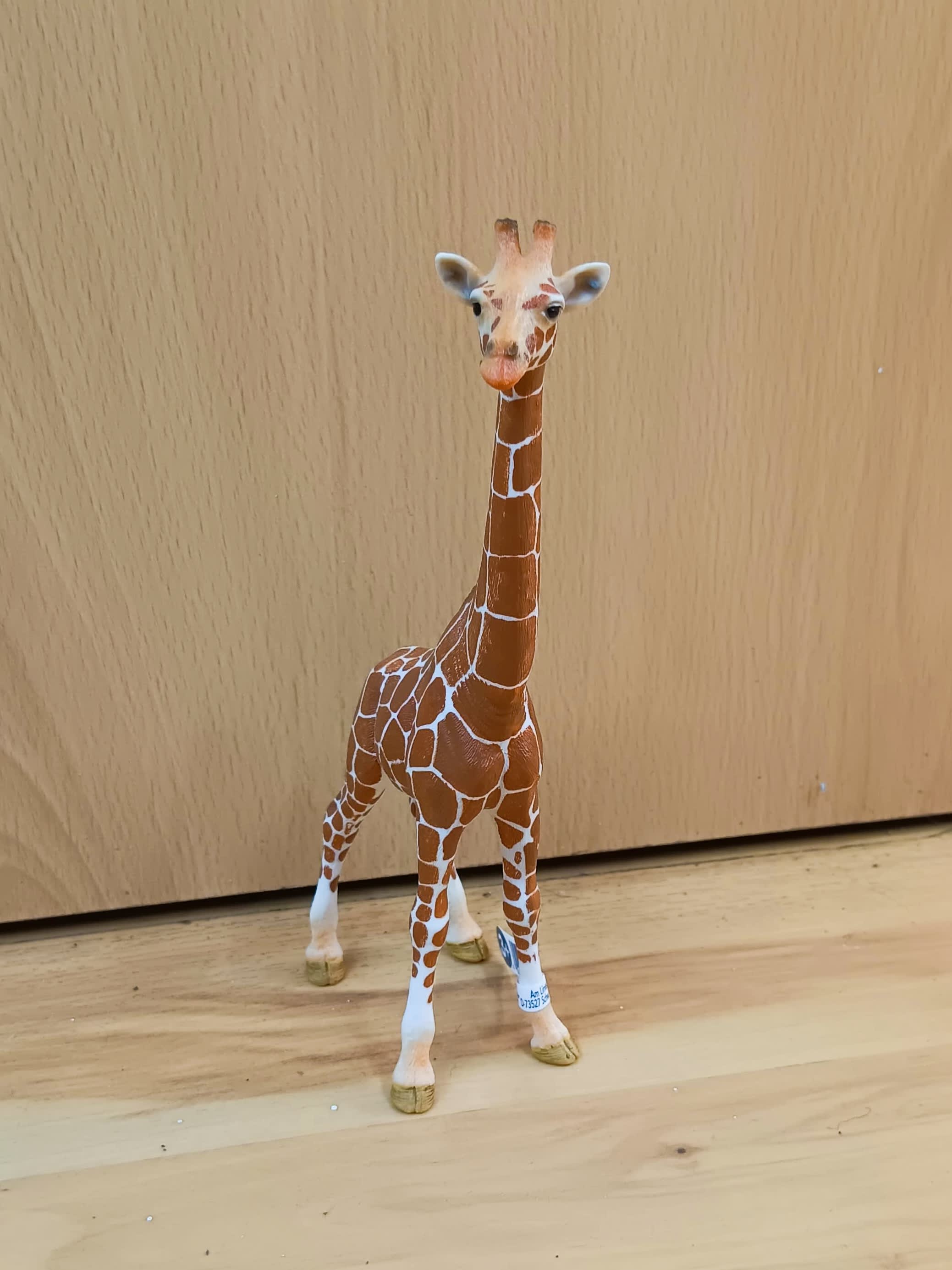 Jirafa hembra