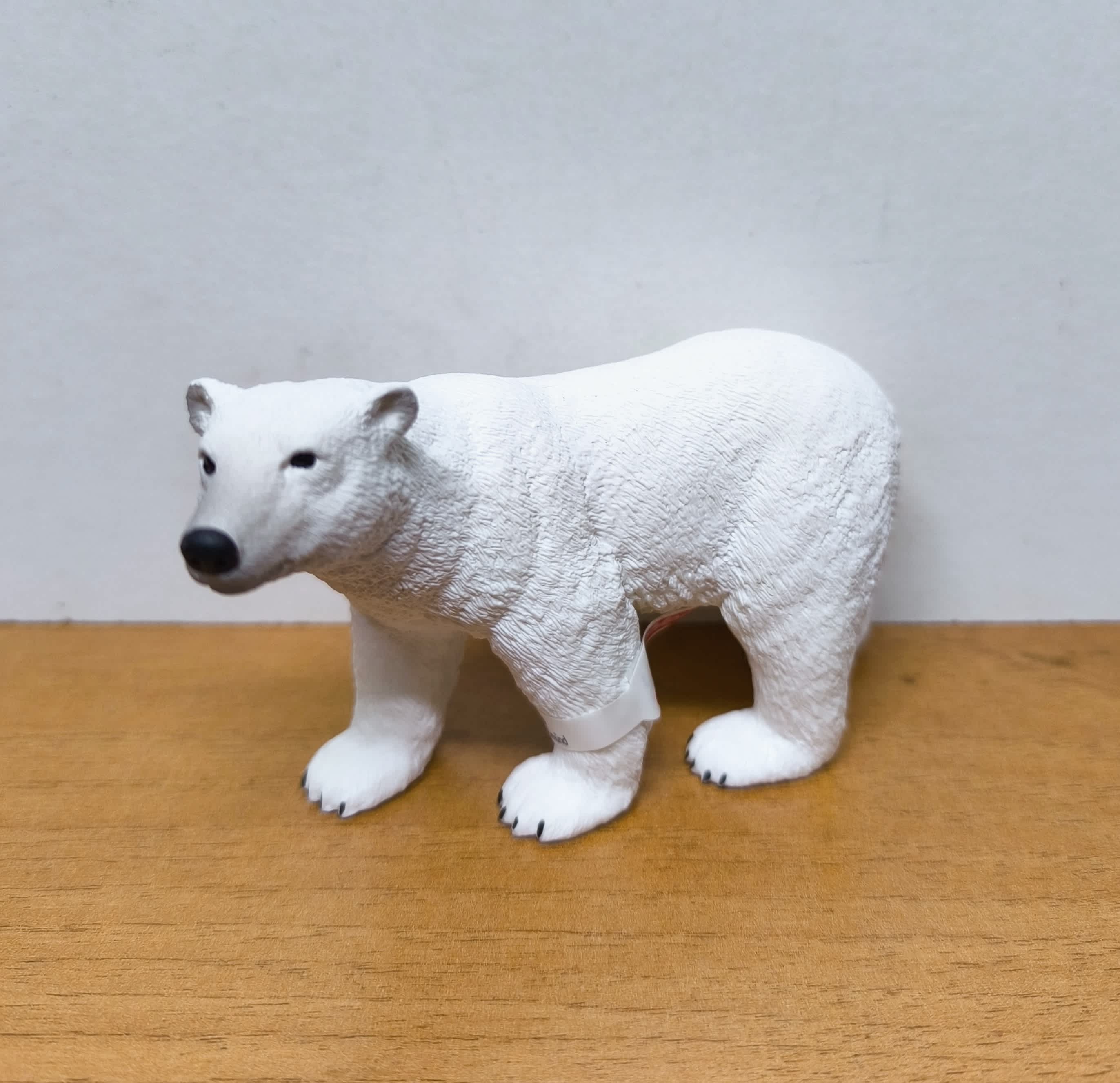 Oso polar