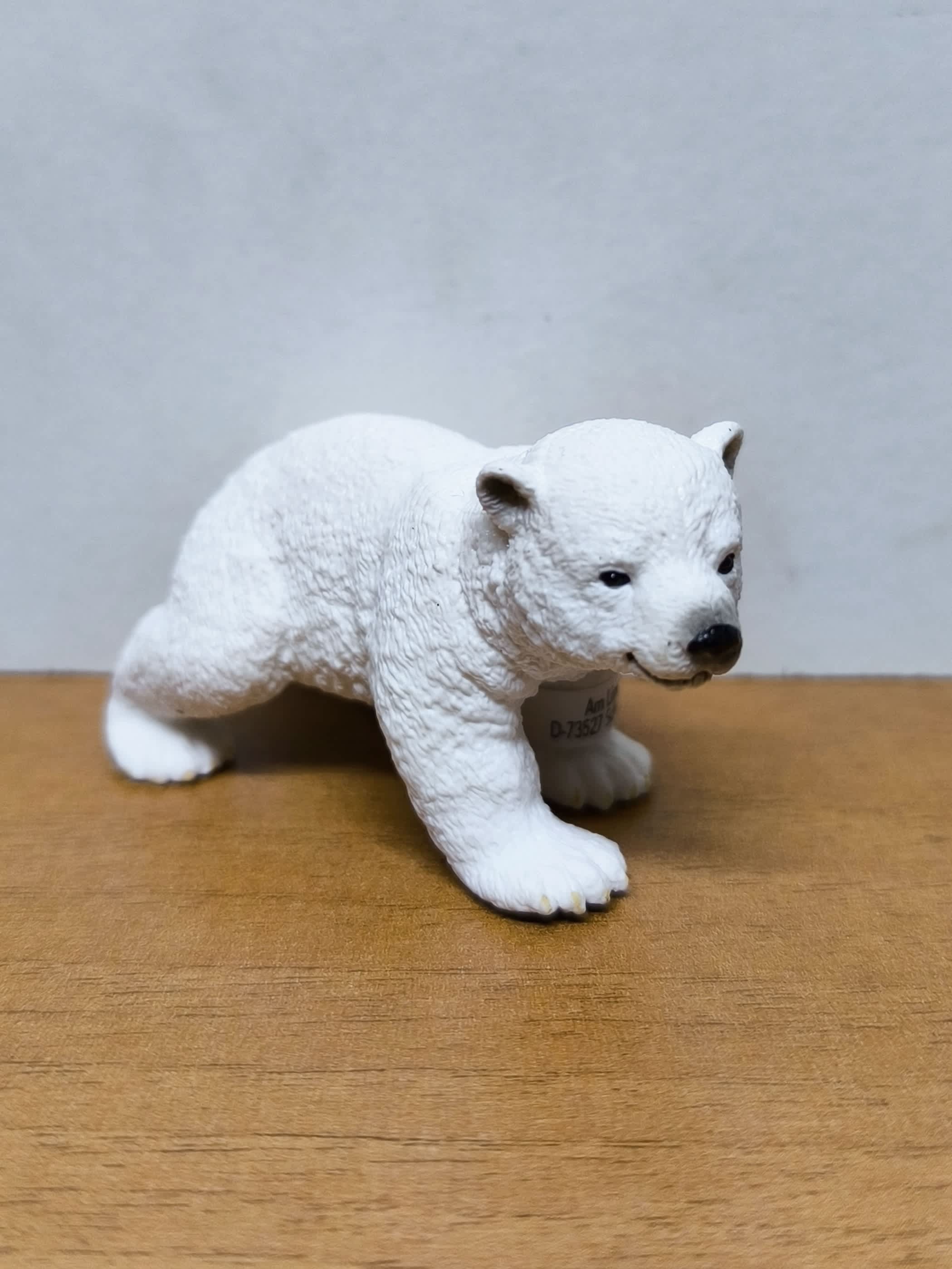 Cría de oso polar