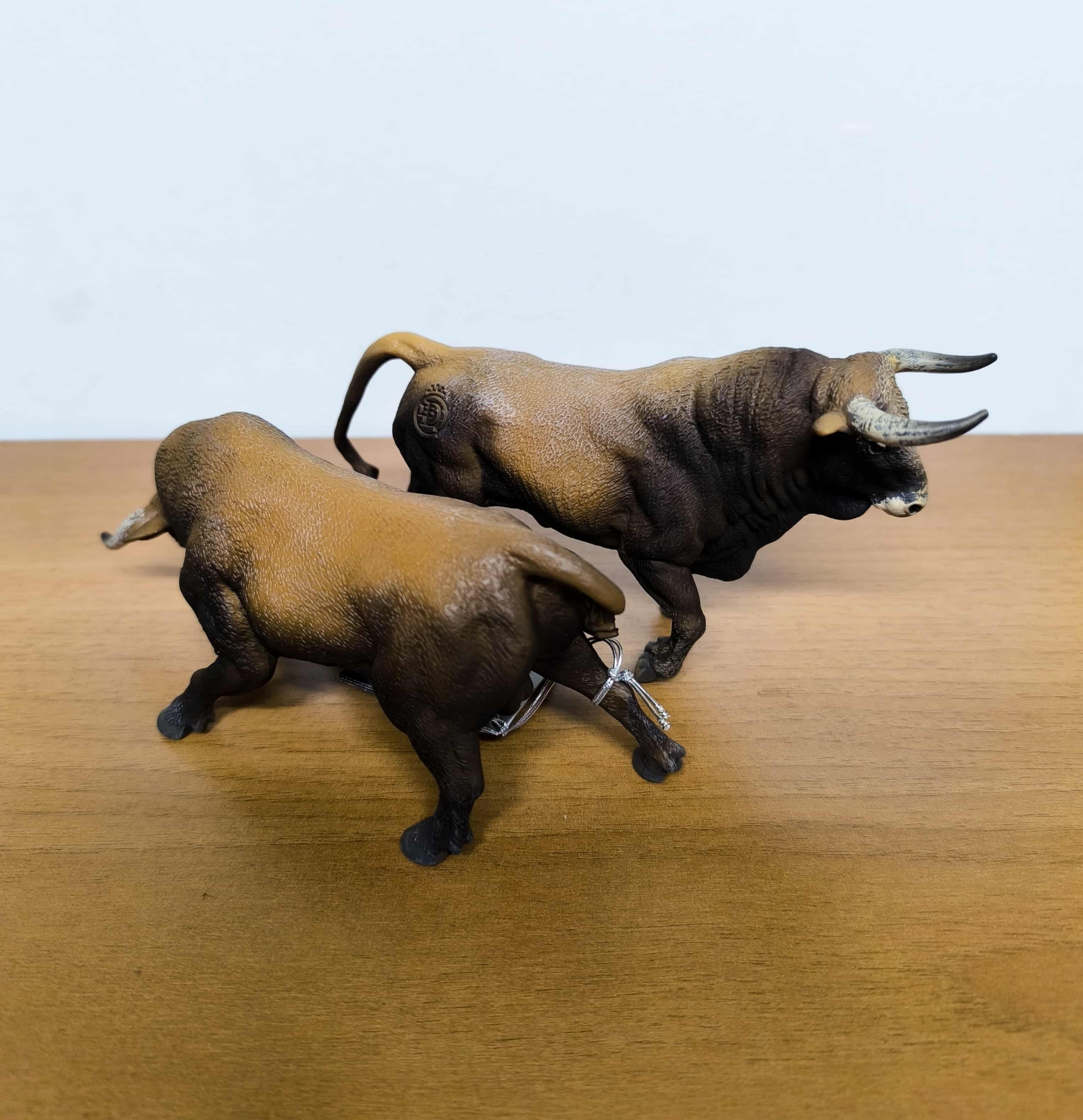 Toro 5